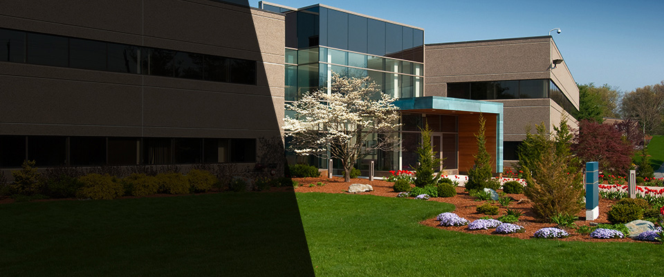 Metropolis Landscapers
