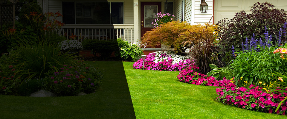 Metropolis Landscapers