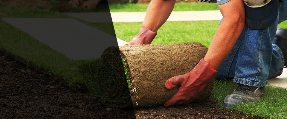 Metropolis Landscapers